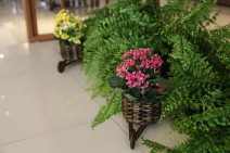 Livia-e-Marcelo-Civil-65